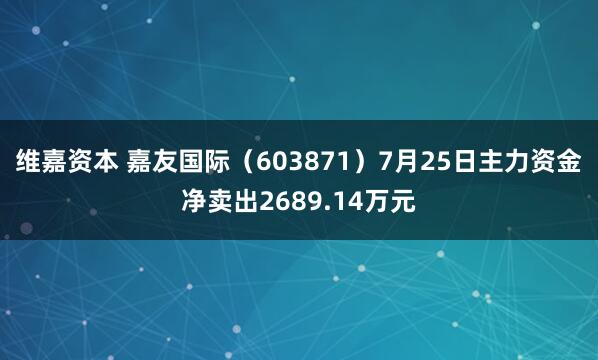 维嘉资本 嘉友国际（603871）7月25日主力资金净卖出2689.14万元