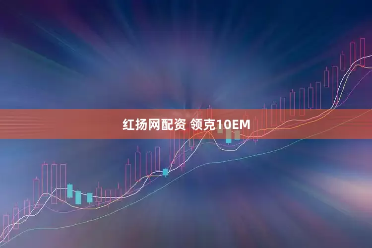 红扬网配资 领克10EM
